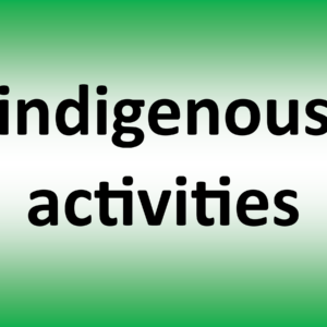 indigenous activities