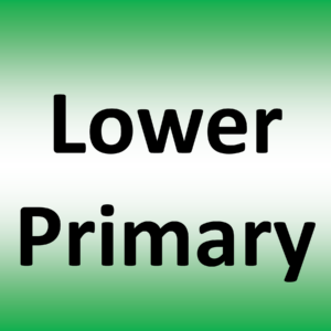 Lower Primary